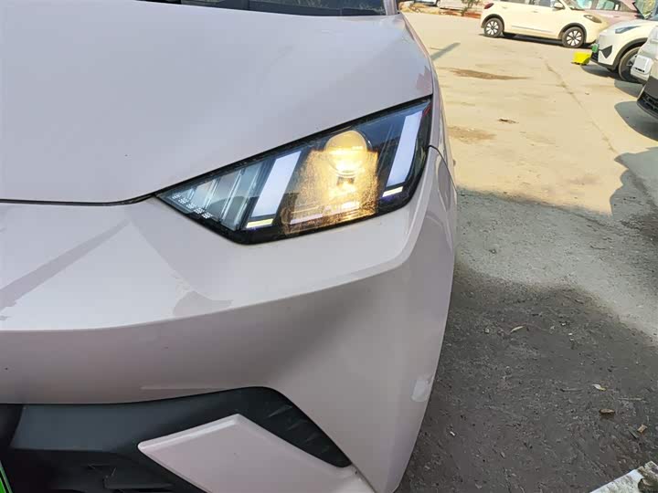 Фото 24 - BYD Seagull