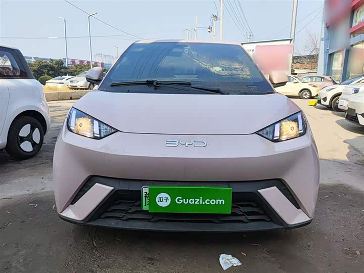 Фото 3 - BYD Seagull