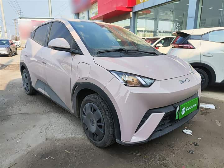 Фото 4 - BYD Seagull