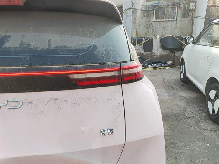 Фото 8 - BYD Seagull