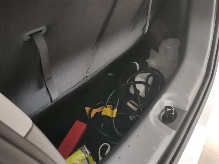 Фото 4 - Changan Qiyuan (Nevo) Lumin