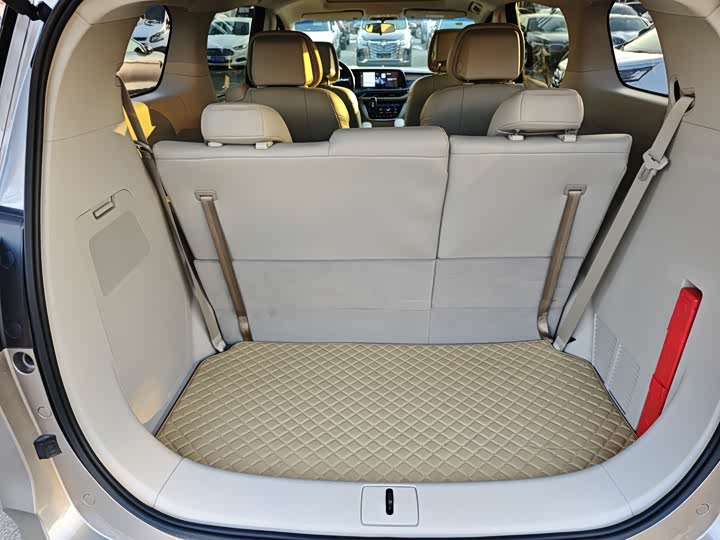 Фото 19 - Buick GL8 ES