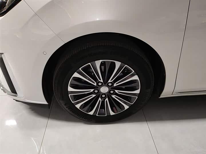 Фото 23 - Buick GL8 ES