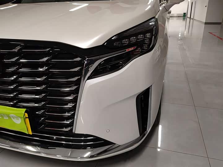 Фото 24 - Buick GL8 ES