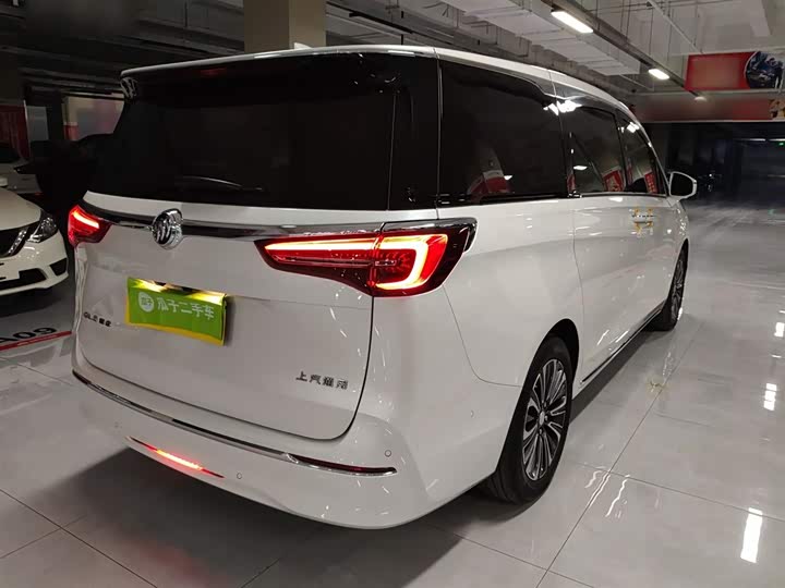 Фото 7 - Buick GL8 ES