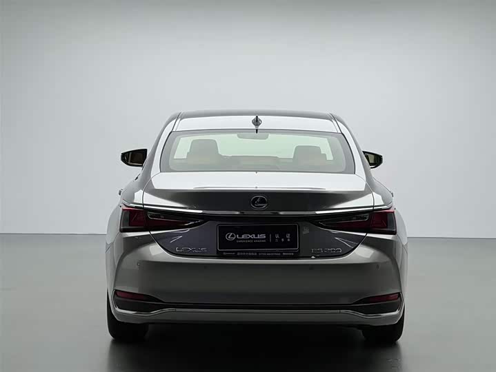 Фото 18 - Lexus ES