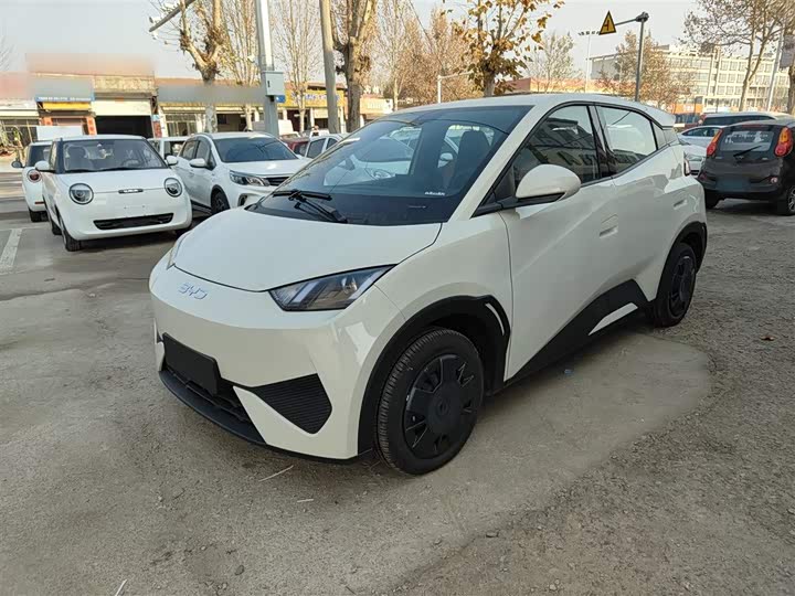 Фото 2 - BYD Seagull