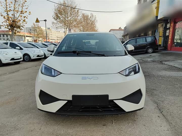 Фото 3 - BYD Seagull