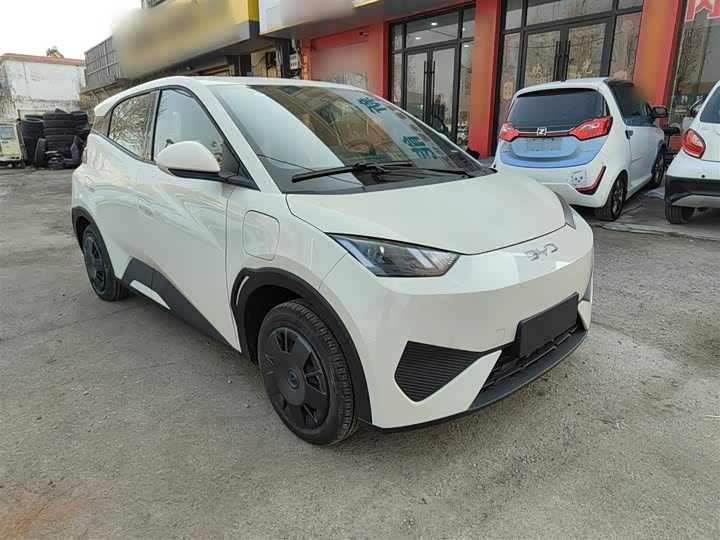 Фото 4 - BYD Seagull