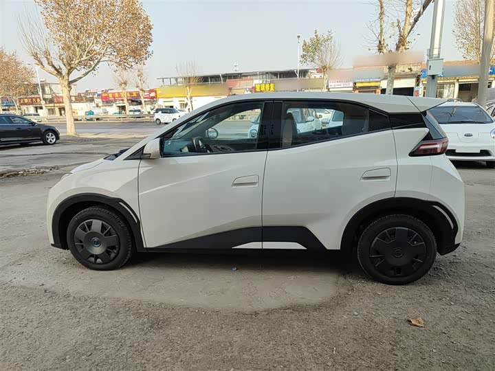 Фото 5 - BYD Seagull