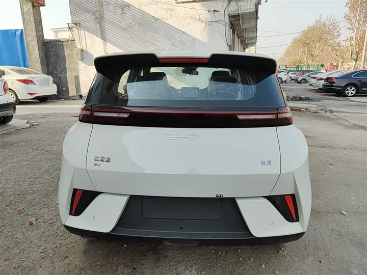 Фото 6 - BYD Seagull