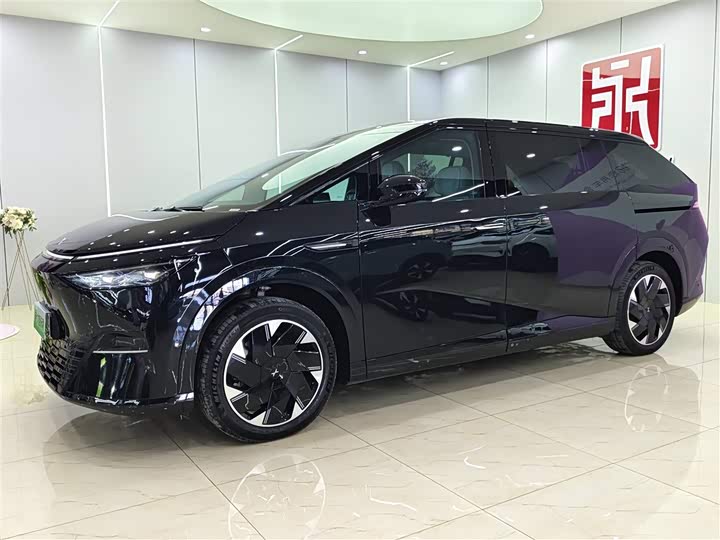 Фото 1 - XPeng X9