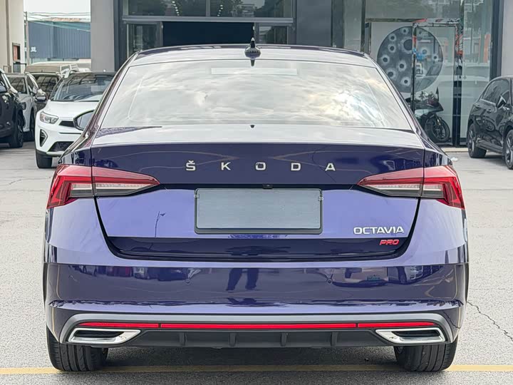 Фото 6 - Skoda Octavia Pro
