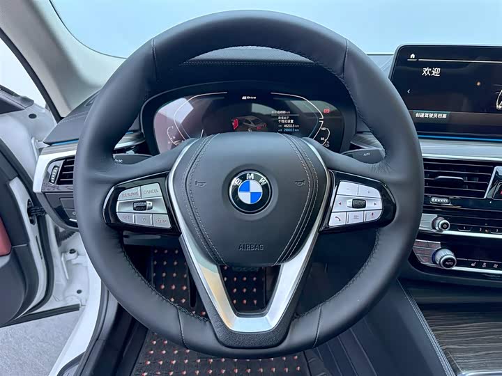 Фото 11 - BMW 5 Series Hybrid