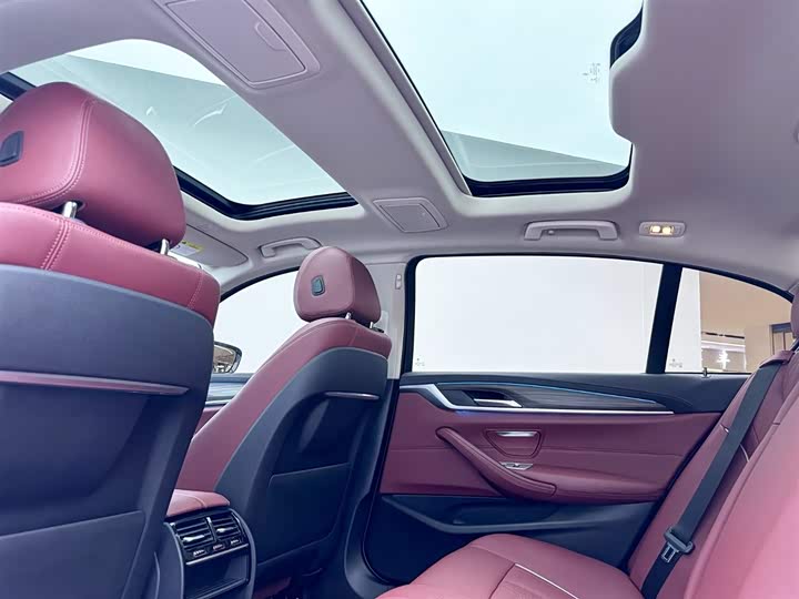 Фото 14 - BMW 5 Series Hybrid