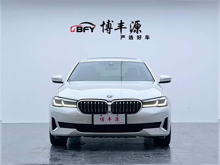 Фото 2 - BMW 5 Series Hybrid