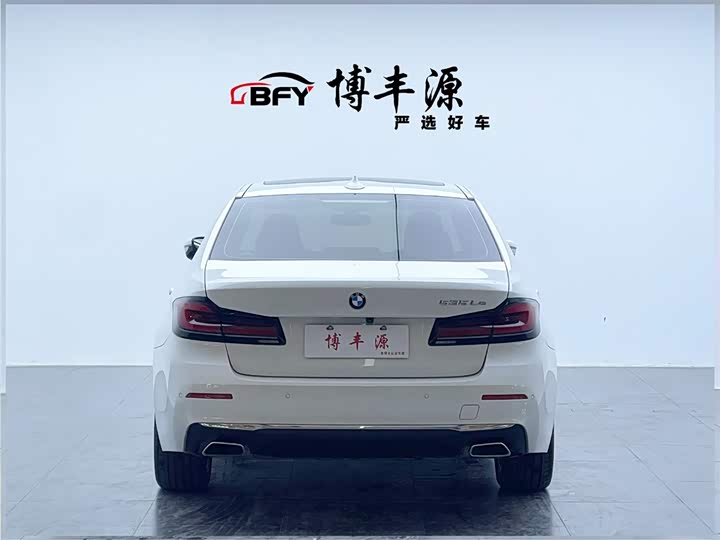 Фото 4 - BMW 5 Series Hybrid