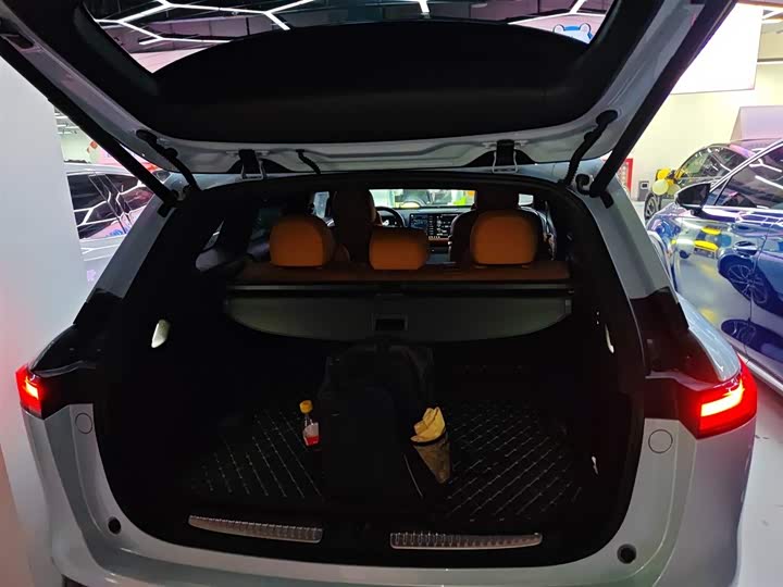 Фото 19 - XPeng G9