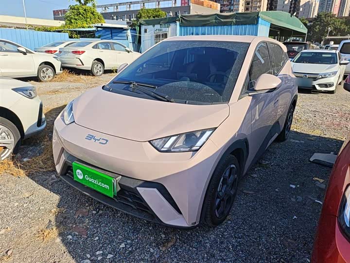 Фото 2 - BYD Seagull