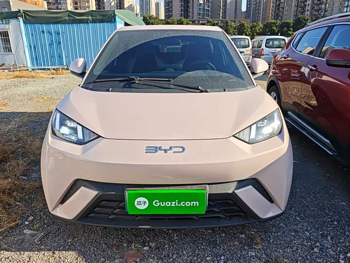 Фото 3 - BYD Seagull