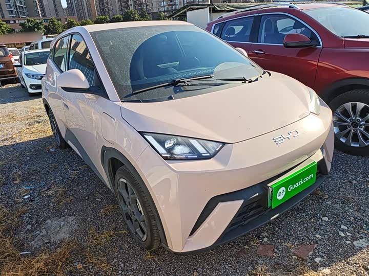 Фото 4 - BYD Seagull