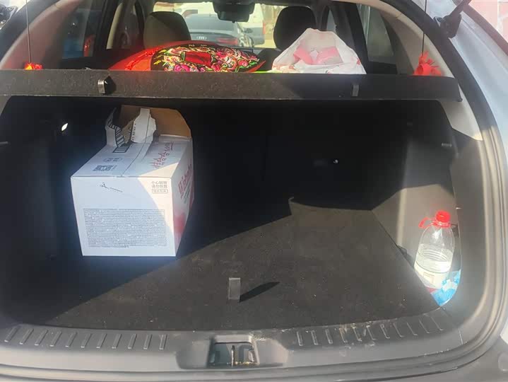 Фото 4 - BYD Yuan Plus