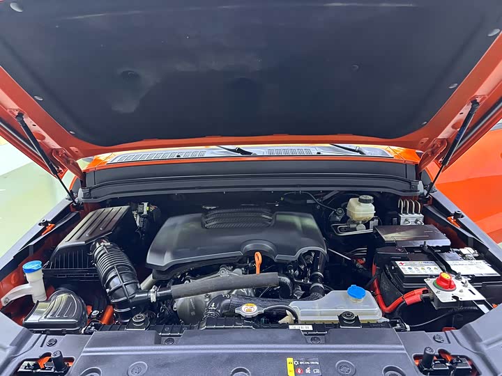 Фото 17 - Tank 300