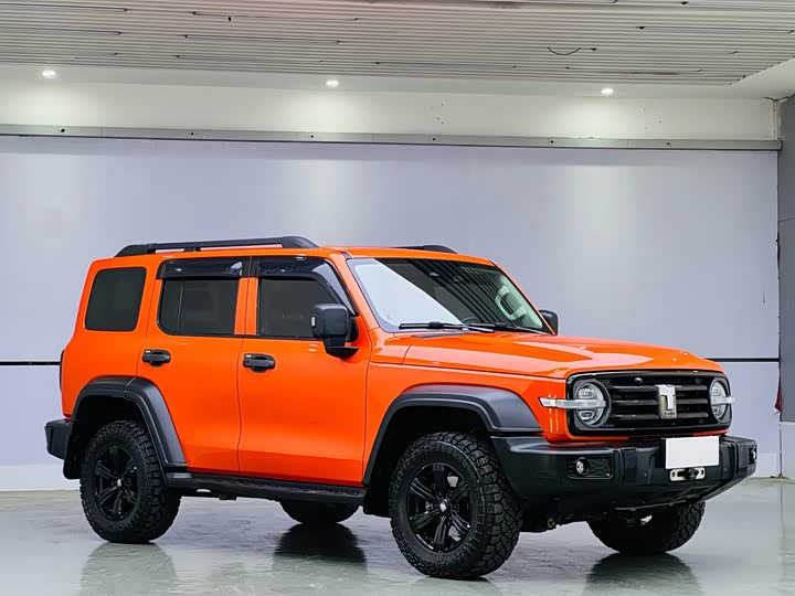 Фото 3 - Tank 300