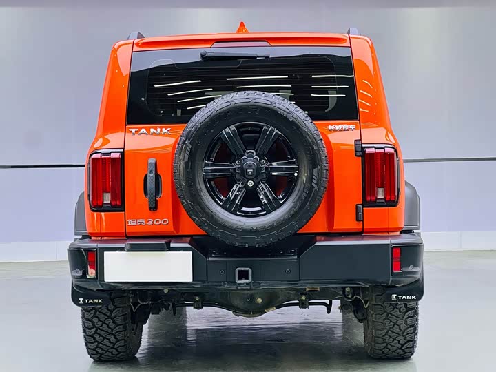 Фото 5 - Tank 300