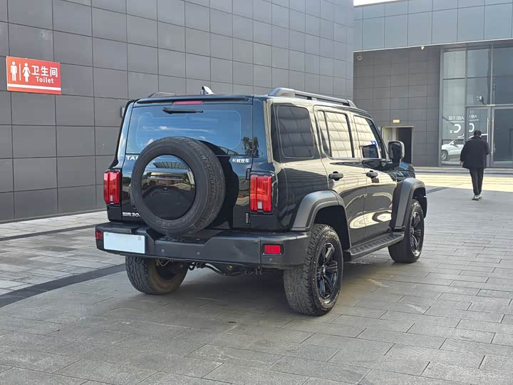 Фото 4 - Tank 300