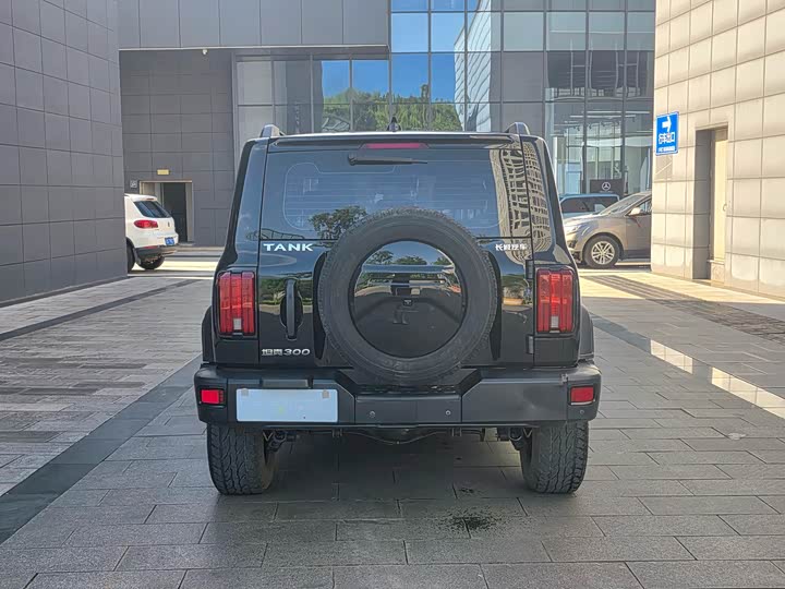 Фото 5 - Tank 300