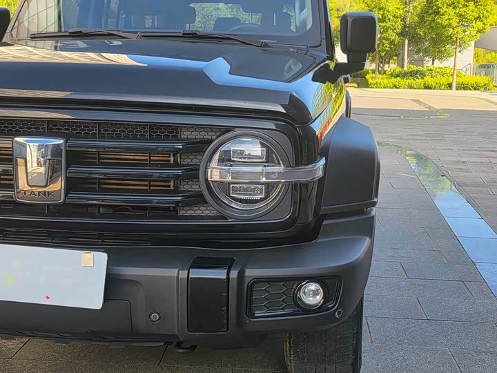 Фото 7 - Tank 300