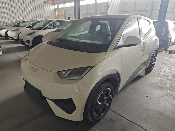 Фото 1 - BYD Seagull