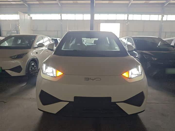 Фото 3 - BYD Seagull