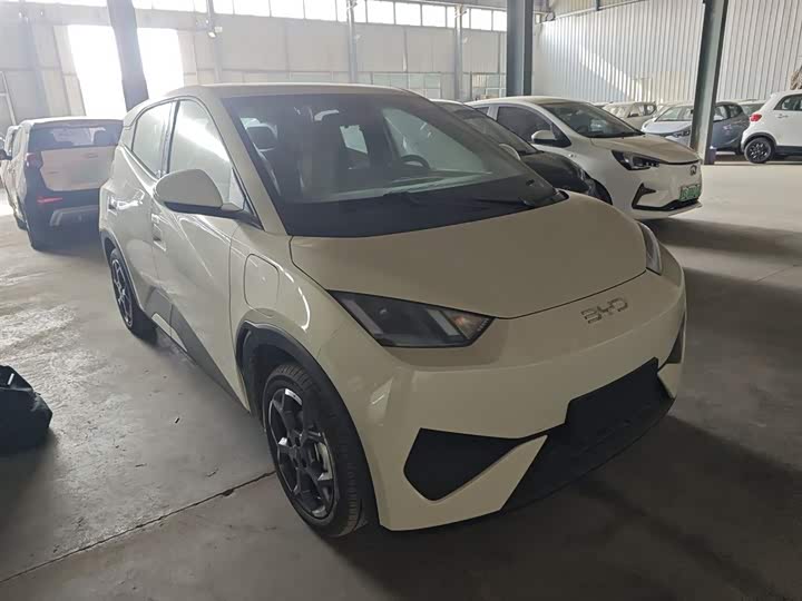 Фото 4 - BYD Seagull