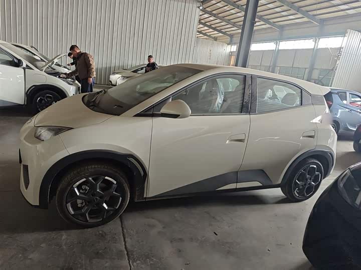 Фото 5 - BYD Seagull