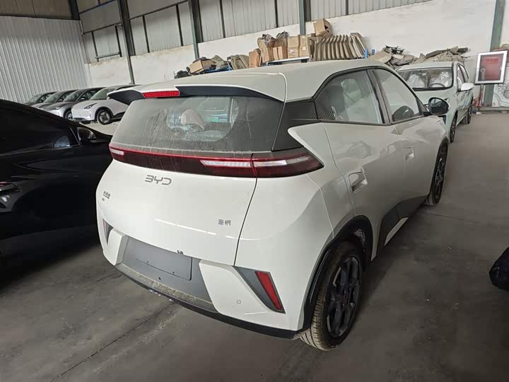 Фото 7 - BYD Seagull