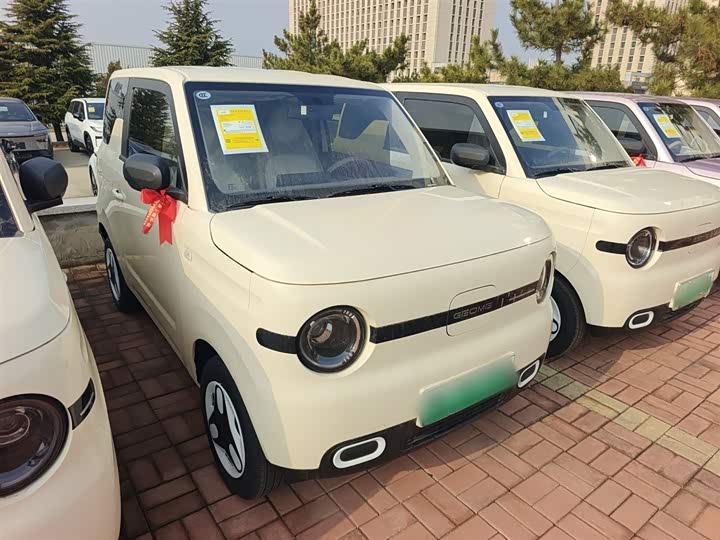 Фото 4 - Geely Galaxy Panda Mini