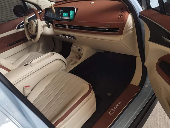 Фото 8 - Ora Good Cat (03)