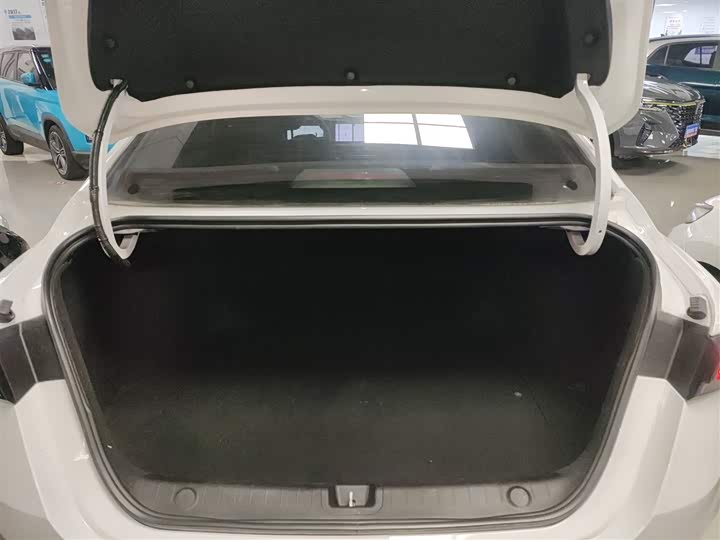 Фото 19 - Geely Binrui