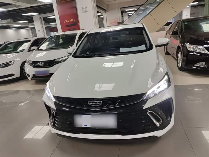 Фото 3 - Geely Binrui