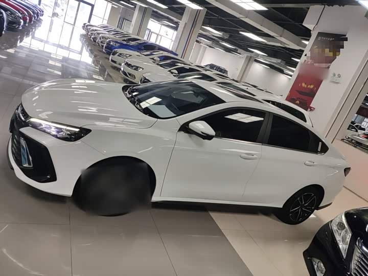 Фото 5 - Geely Binrui