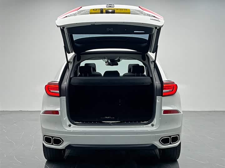 Фото 11 - Honda Avancier