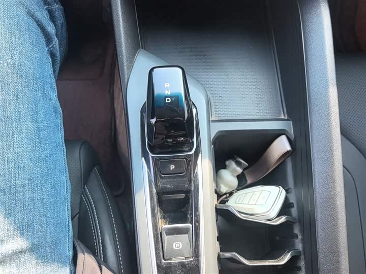 Фото 14 - Geely Binrui