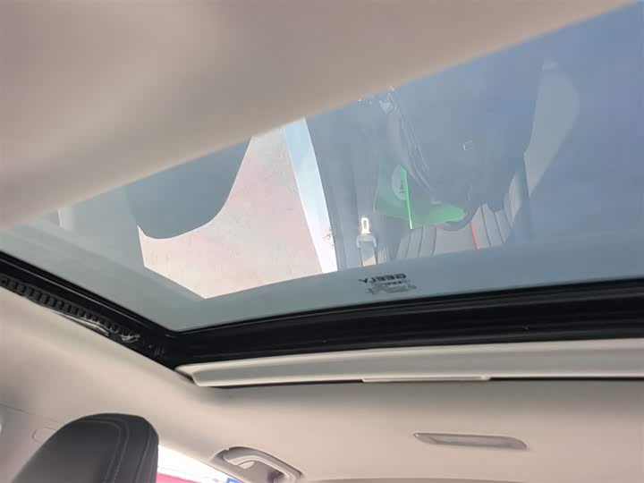 Фото 18 - Geely Binrui