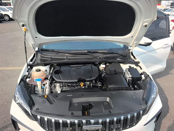 Фото 20 - Geely Binrui