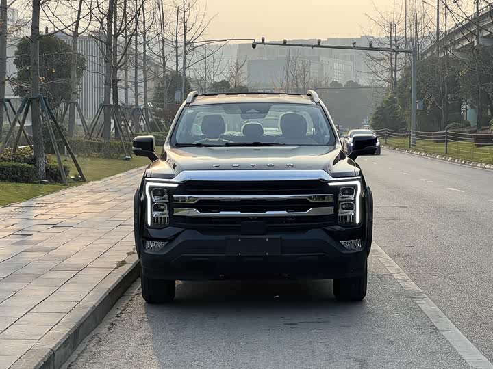 Фото 2 - Foton Mars 7