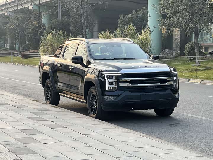 Фото 3 - Foton Mars 7