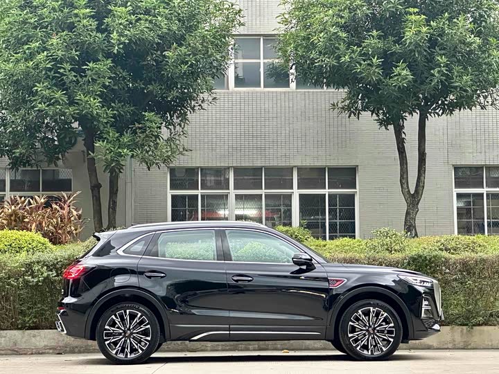 Фото 4 - Hongqi HS5