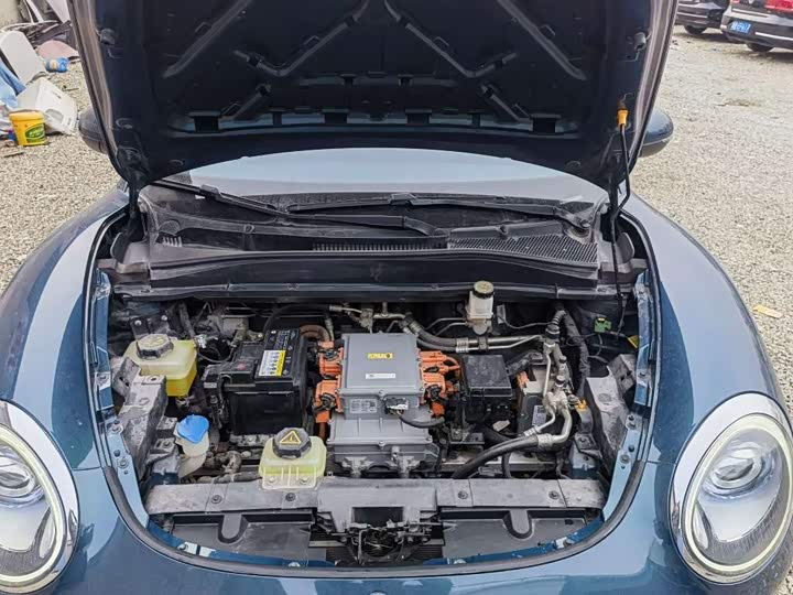 Фото 10 - Ora Good Cat (03)